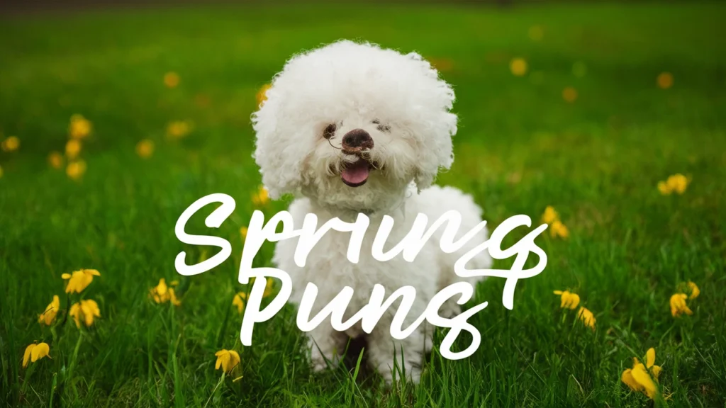 222+ Funny Spring Puns Jokes One Liner