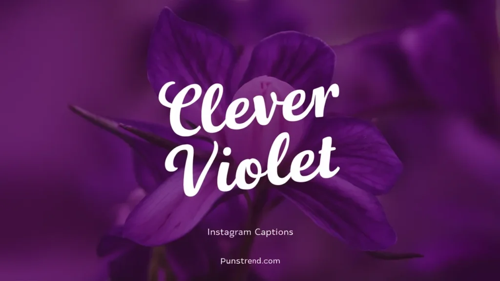 Clever Violet Instagram Captions