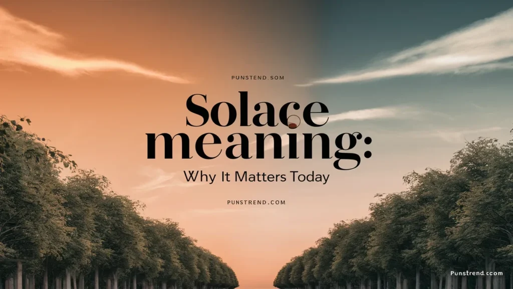 Solace Meaning