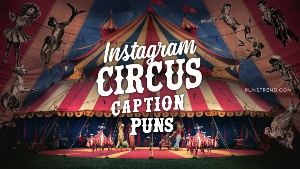 Instagram Circus Caption Puns