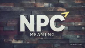 NPC Meaning : What Does “NPC” Mean in Text, TikTok, and Online Slang?