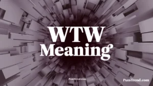 WTW Meaning: What It Really Means in Texts, TikTok, Snapchat, and Online Chat