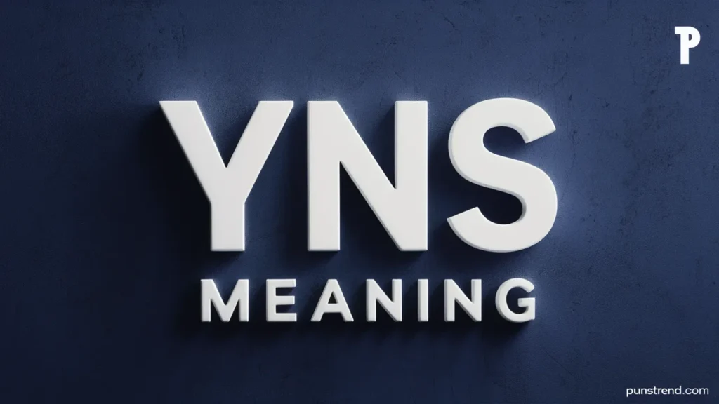 NPC Meaning