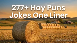 277+ Hay Puns Jokes One Liner