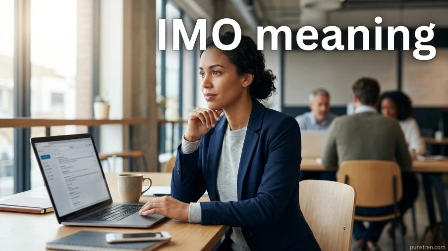 IMO meaning